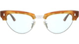 Cat-Eye Tortoise Cat Eye Sunglasses