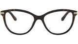 BE2280 3002 Tortoise