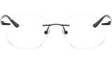 RB8783D Optics 1244