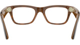 Meta Blayzer Optics Gen2