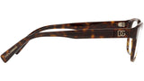DG 3340 502 tortoise