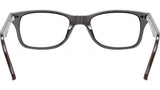 RB5228 Optics 5546