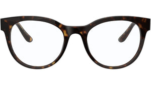 DG 3334 502 tortoise