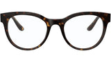DG 3334 502 tortoise