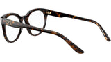 DG 3334 502 tortoise