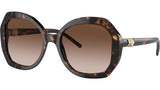 AR 8180 502613 Tortoise