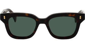 TUTTO Tortoise