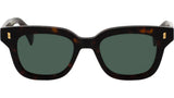 TUTTO Tortoise