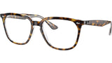 RB4362V Optics 5082