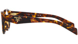 PR 21ZV 14L1O1 honey tortoise