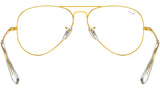 Aviator Optics RB6489 3086