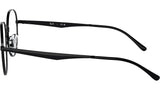 RB6517D Optics 2509