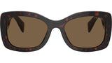 PR A08S 16N5Y1 Tortoise