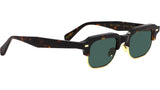 RAY Classic Havana