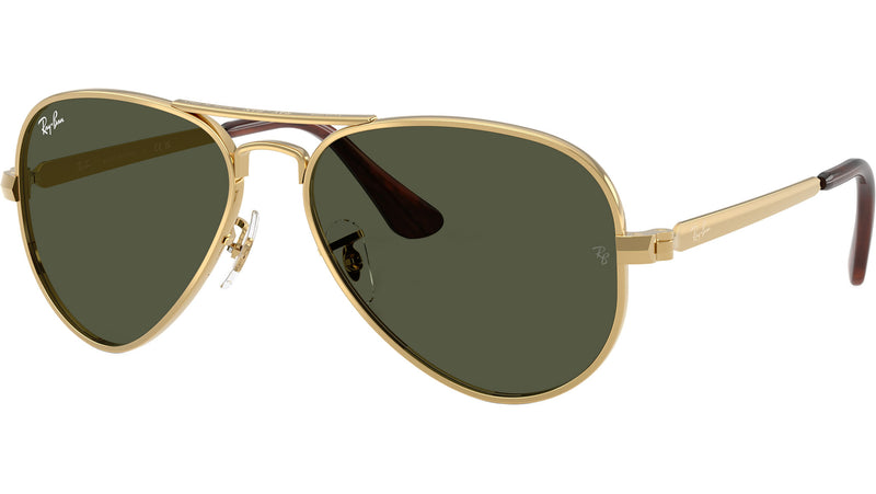 Aviator Max RB3925 001/31