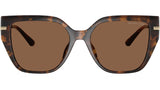 St. Barths MK2231U 30063G Dark Tortoise