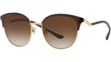 DG 2273 134413 brown