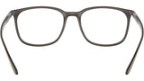 RB7199 Optics 8063