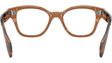 RB0880 Optics 8180