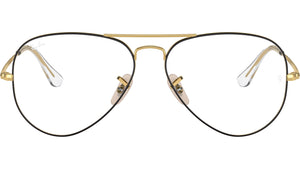 Aviator Optics RB6489 2890