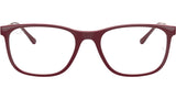 RB7244 Optics 8099