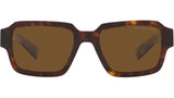PR 02ZS tortoise