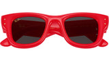 Wayfarer Puffer RB4940 683187
