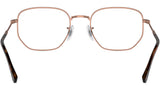 RB6496 Optics 3094