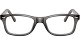 RB5228 Optics 5546