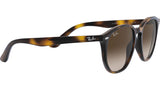 8056597175180_11.jpg