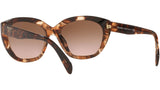 PR 16XS havana caramello