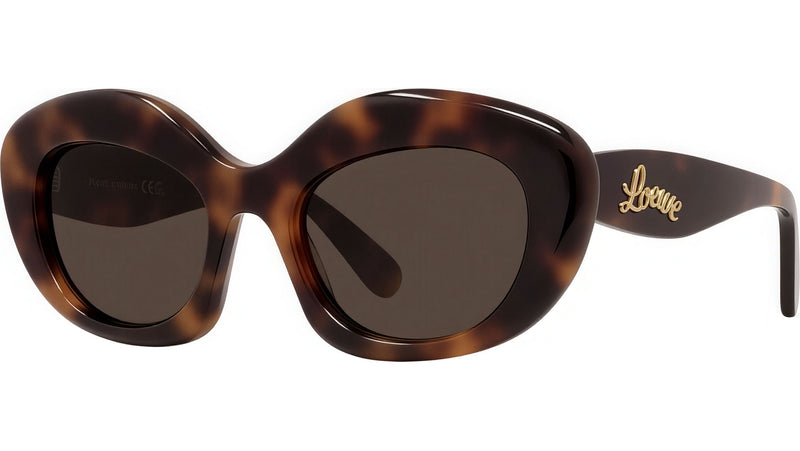 Curvy Tortoise Cat Eye Sunglasses