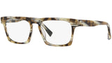 N°861 3099 004 tortoise