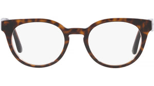 DG 3361 3256 tortoise