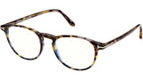 FT5803-B 055 Grey Havana