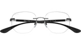 RB8766 Optics 1128
