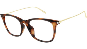SL 580 002 shiny tortoise