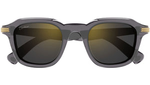 CT0536S 003