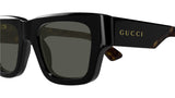 GG1668S 001