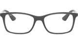 RB7047 Optics 5482
