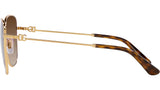 DG 2293 02/13 Gold Brown