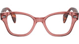 RB0880 Optics 8177