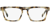 N°861 3099 004 tortoise