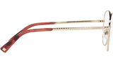 VA1025 3068 red havana / light gold