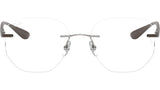 RB8766 Optics 1131