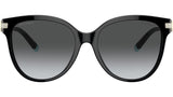 TF4193B 8001T3 Black