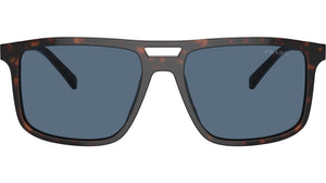 PR A22S 17N06A Tortoise