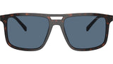 PR A22S 17N06A Tortoise