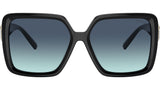 TF4206U 80019S Black