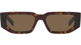 PR 09ZS tortoise